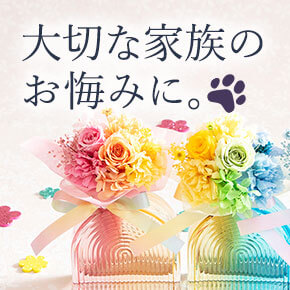 ����������l�R�����A�y�b�g�̂�����݂�