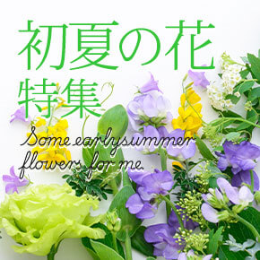 ���Ẳԓ��W