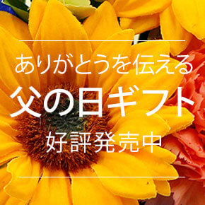 ���̓� �v���[���g�E�M�t�g���W2026