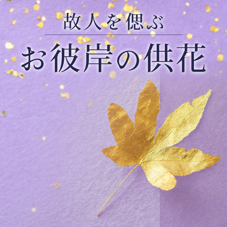 Ĥފ