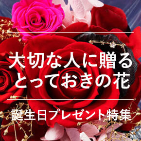 �a�����v���[���g���W