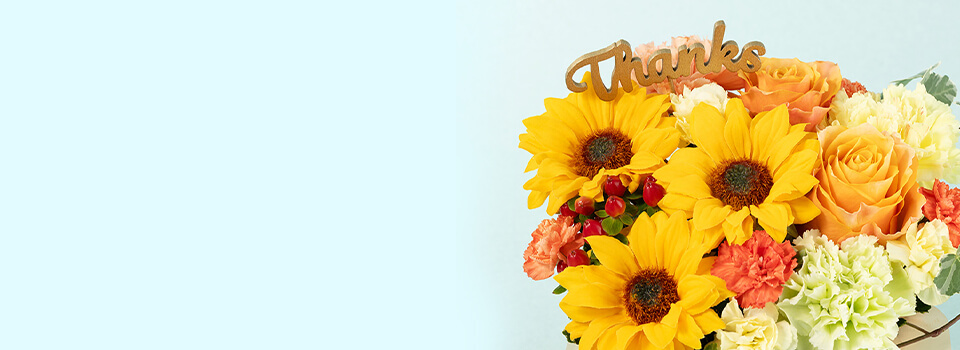 �Z�b�g���o���w�i�摜