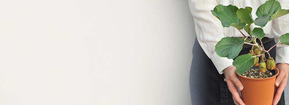 �Z�b�g���o���w�i�摜