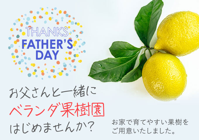 ��ĂĊy���� �������ʎ���