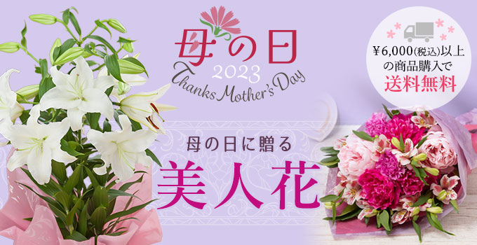 母の日に贈る美人花|母の日プレゼント・花ギフト特集2023|イイハナ