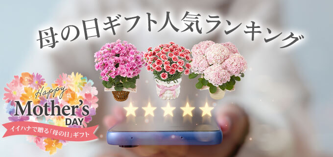 ̓MtglCLO