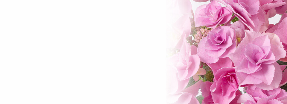 フラワー賞受賞の逸品イメージ画像