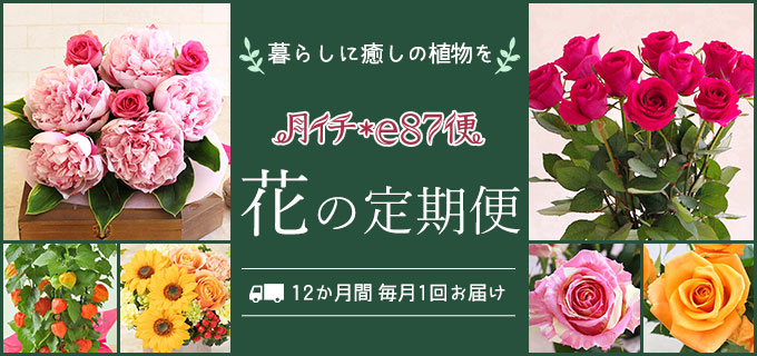 月イチ＊e87便 毎月届く12ヶ月のお花の定期便｜イイハナ