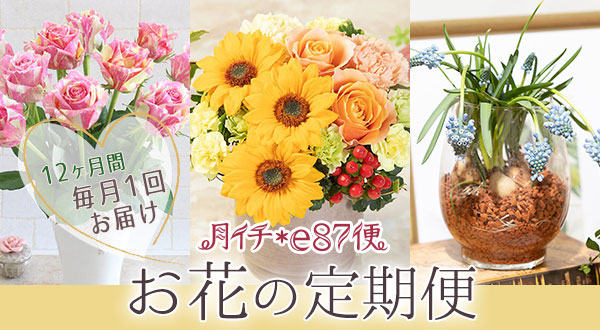 月イチ E87便 毎月届く12ヶ月のお花の定期便 イイハナ