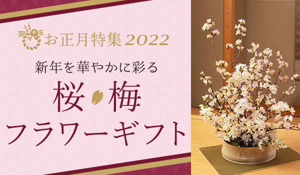 新年を華やかに彩る 桜 梅 お正月プレゼント ギフト特集22 イイハナ