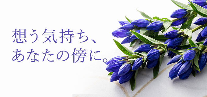 zCAȂ̖TɁBC[W摜