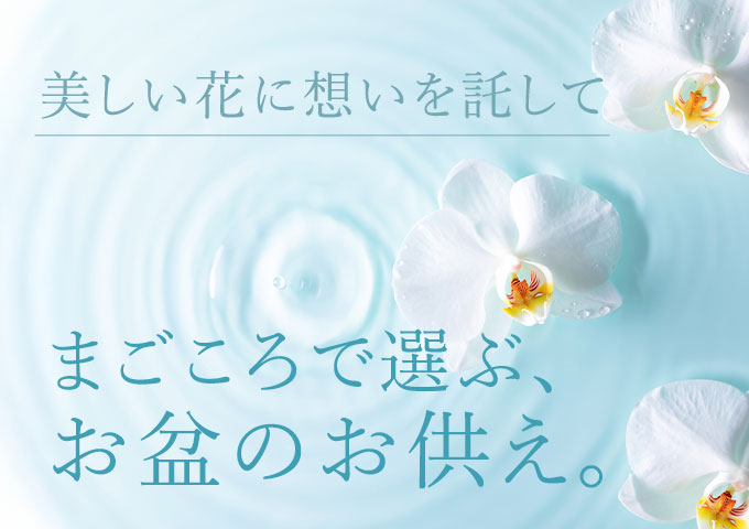 ���~�E���~(�V�~)�ɑ��邨������2026
