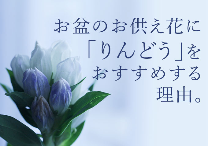 ���~�̂������̉ԂɁu�����h�E�v���������߂��������R