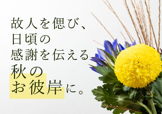 �H�̂��ފ݃��C���r�W���A��