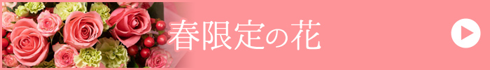春限定の花
