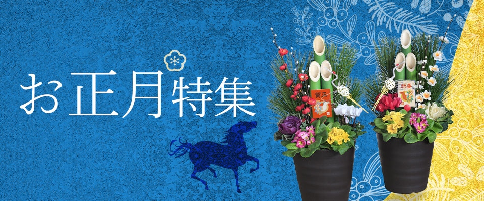 ̉ԃMtgEv[gW2026C摜