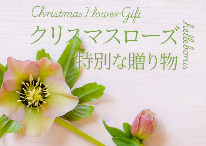 EB^[t[MtgEv[gW2025CrWA摜