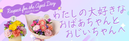 hV̓MtgEv[gW2025 瑡v[g