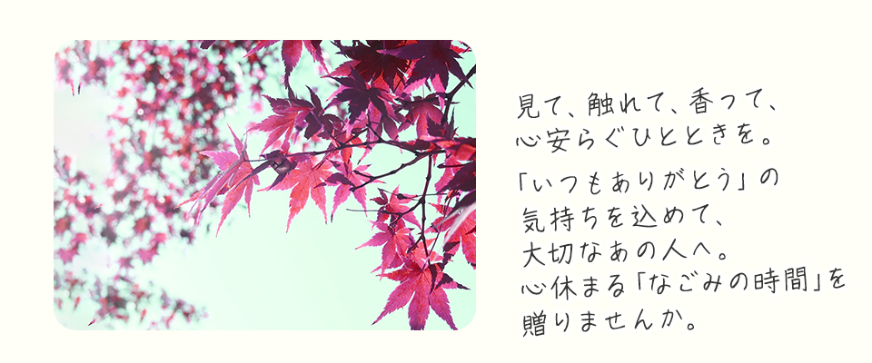 āAGāAāAS炮ЂƂƂBu肪Ƃv̋C߂āA؂Ȃ̐lցBSx܂uȂ݂̎ԁv𑡂܂񂩁B