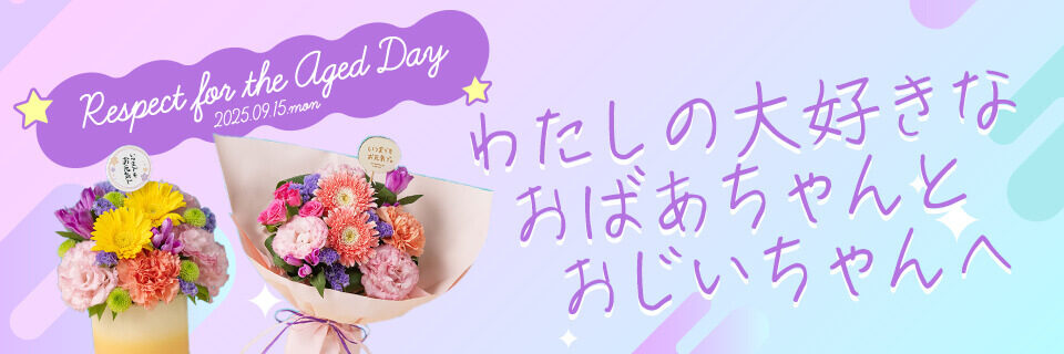hV̓MtgEv[gW2025 瑡v[g