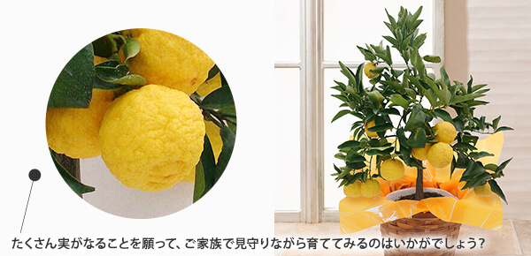 hV̓@AuMṽsbNAbv|Cg