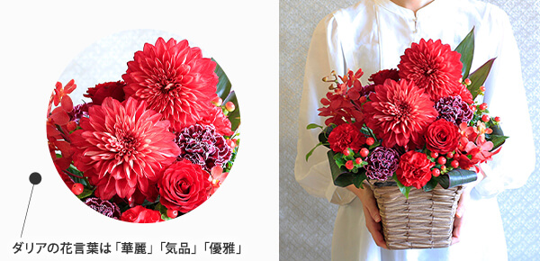 hV̓@AWguanniversary flower`r[`ṽsbNAbv|Cg