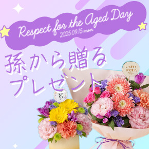hV̓MtgEv[gW2025 瑡v[g