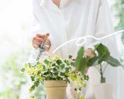 敬老の日 プリザーブドフラワー「水入らずのバスケット」