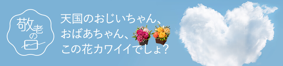 �h�V�̓��@�V���̂����������E���΂�������