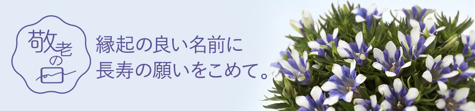敬老の日のプレゼントに。長寿を願う秋の花「りんどう」特集