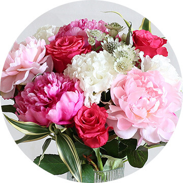 �X�^�C������I�� �A�����W�����g�E�ԑ�