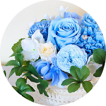 �X�^�C������I�� �v���U�[�u�h�t�����[