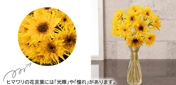 ̓@ԑuSbz̃q}iRjṽsbNAbv|Cg