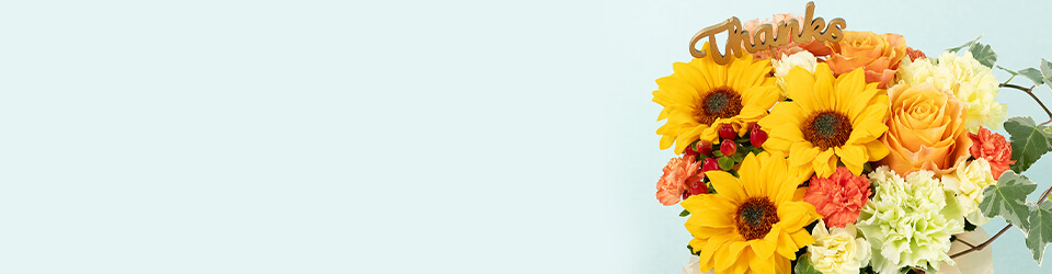 �A�����W�����g���o���w�i�摜