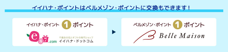 �x�����]���E�|�C���g�ւ̌���