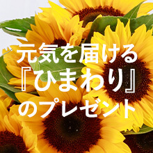 ���ł�����炸�����Ƒ�؂ȓV���̂��ꂳ���