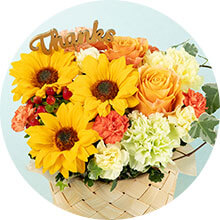 �v���U�[�u�h�E�h���C�t�����[�o�i�[�A�C�R��