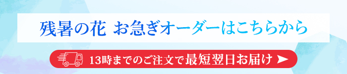 c̉Ԃ}I[_[