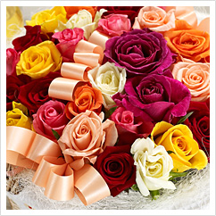 �A�����W�����g�u���[�Y�o�X�Z�b�gL�v