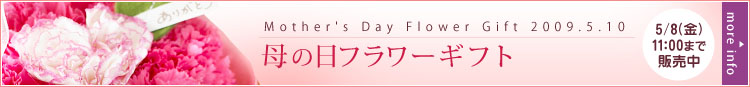 Mother's Day Flower Gift 2009.5.10 ̓t[Mtg 5/8ij11:00܂Ŕ̔ more info