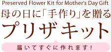Preserved Kit for Mother's Day Gift@̓Ɂuv𑡂 vUMtg@͂Ăɍ܂I