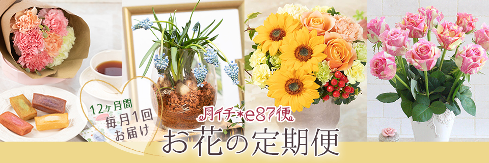 月イチ＊e87便 母の日から始まる毎月届く12ヶ月の花の贈り物
