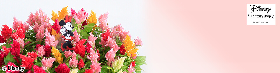 ̓@fBYj[/AuLhP[L/~j[}EXvC[W摜