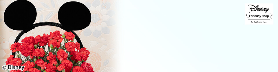 ̓@fBYj[/AuJ[l[VoXPbg/~bL[}EXvC[W摜