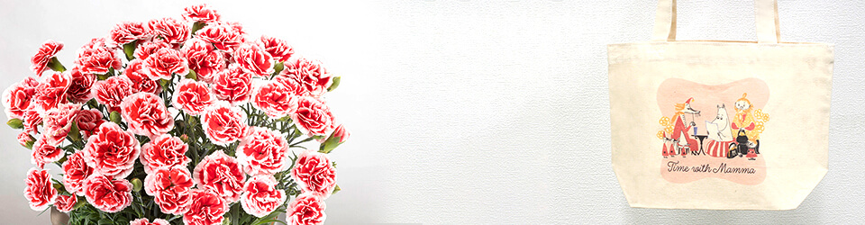 ̓@MOOMIN/AuobNinJ[l[V`Time With Mamma`vC[W摜