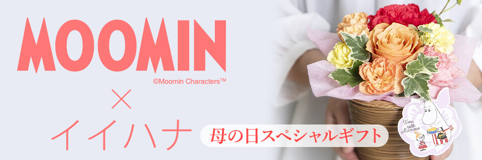 ̓v[gEԃMtgW2025@̃Mtg MOOMIN x CCni
