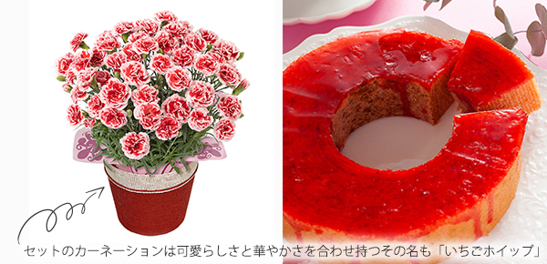 ̓@AZbgu䕂̃c ܂oEN[wṽsbNAbv|Cg