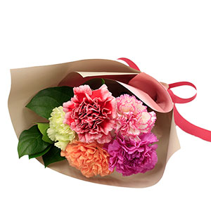 ̓@ԑZbguَqH[ ] 肪ƂǂĂƂ炫΋lߍ킹v