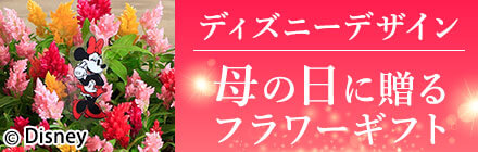 ディズニーデザイン