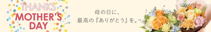 ��̓� �v���[���g�E�M�t�g���W2026